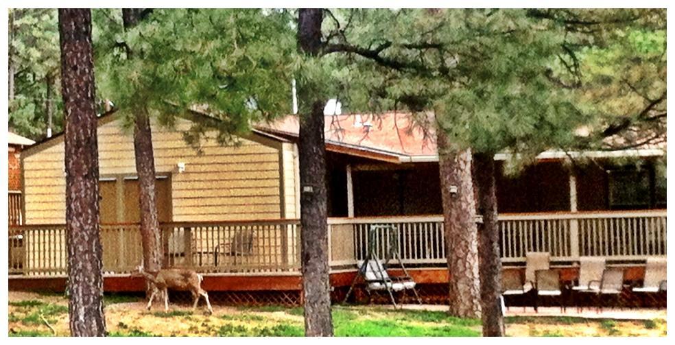 Village Lodge Ruidoso Exterior foto